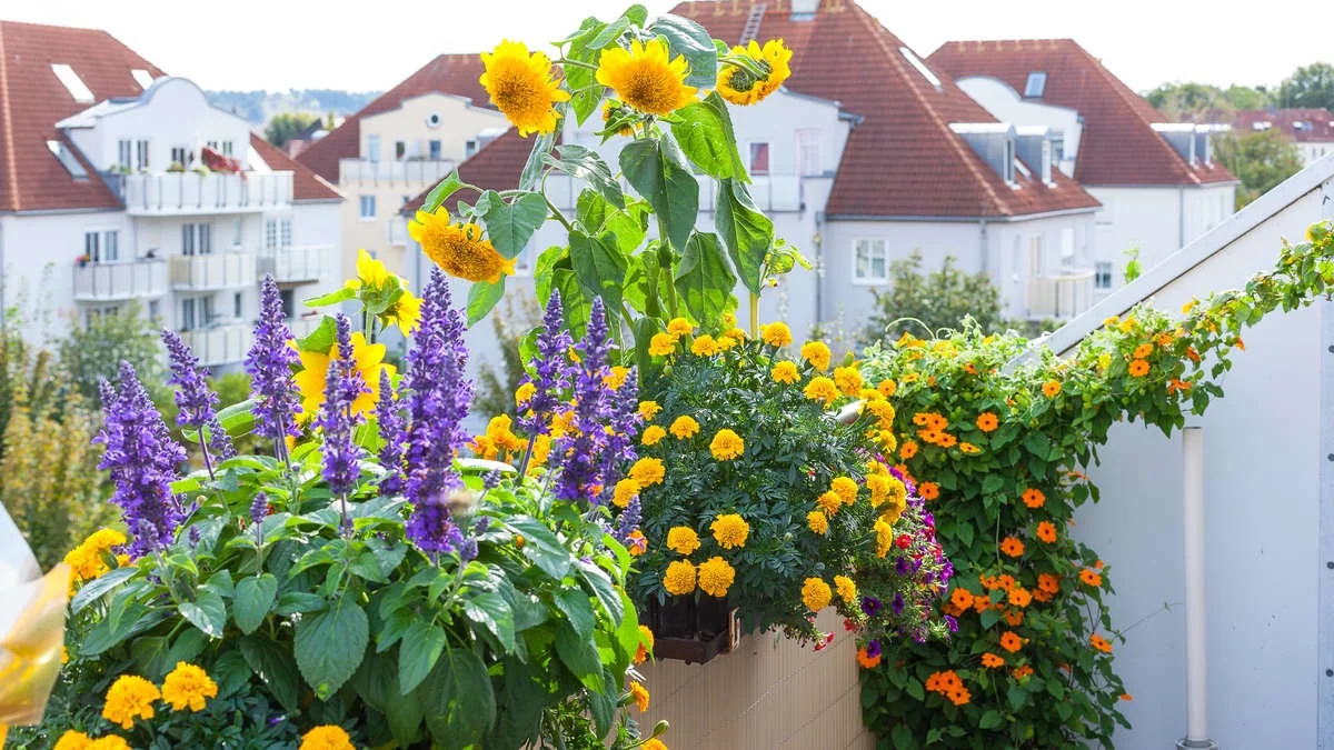 Med disse tricks overlever dine altanplanter ferietiden